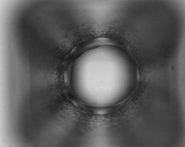 X0000047610866200502241138.png