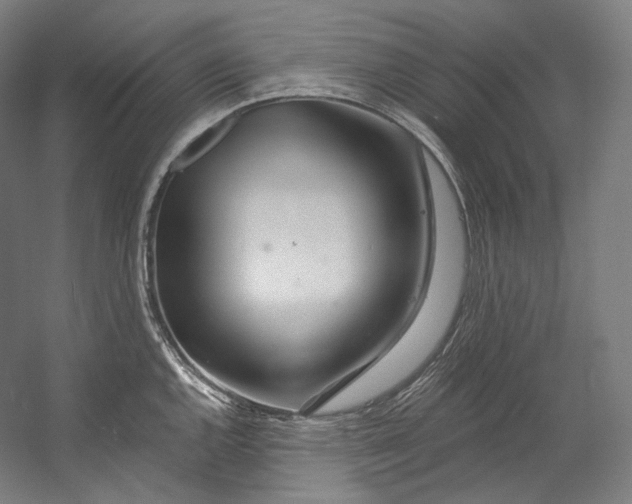 X0000055211144200508301315.png
