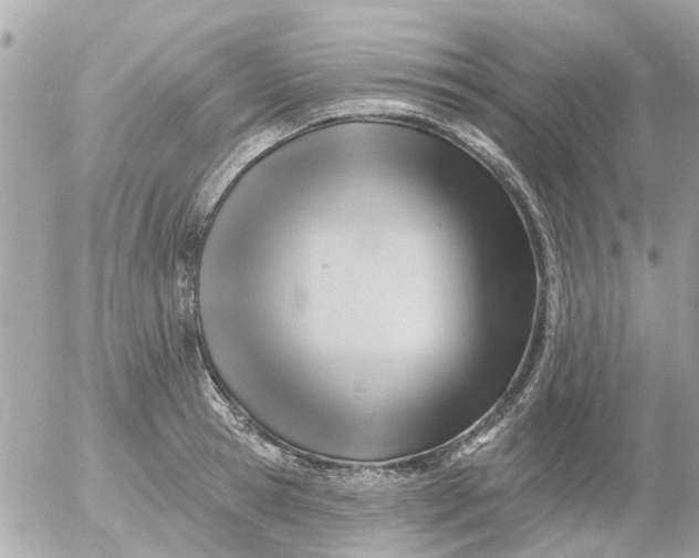 X0000055070945200508232325.png