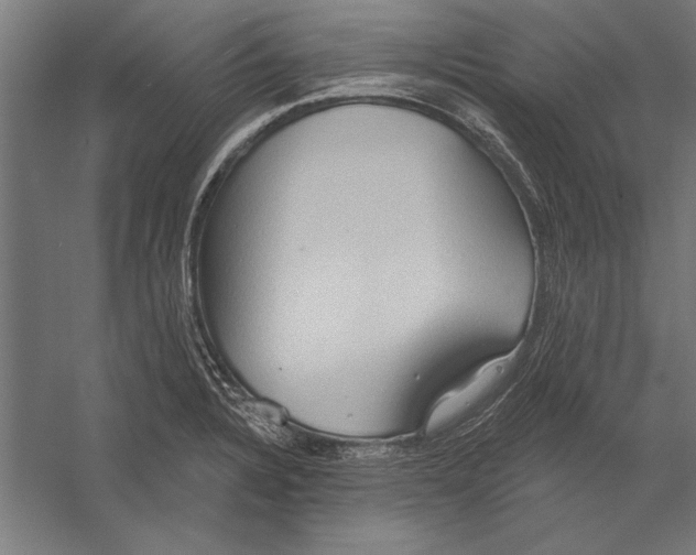 X0000055251328200509071605.png