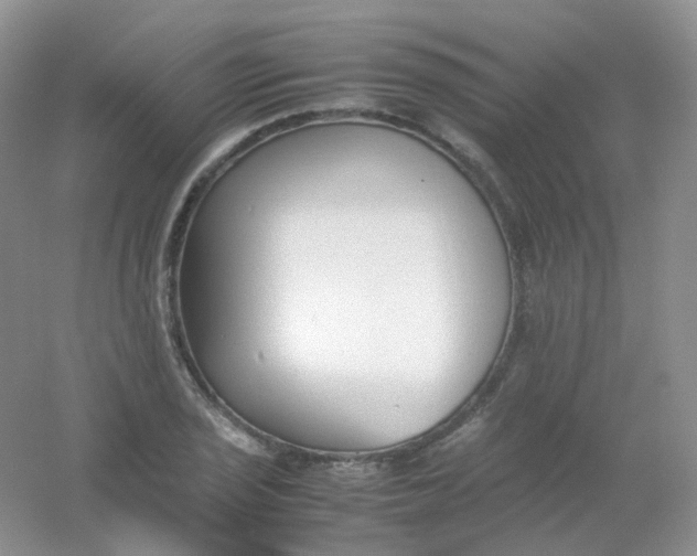 X0000054331029200508111913.png