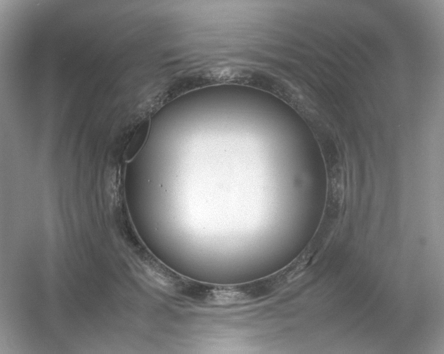 X0000054330605200508111921.png
