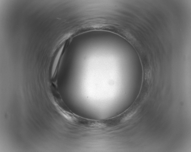 X0000054330397200508111924.png