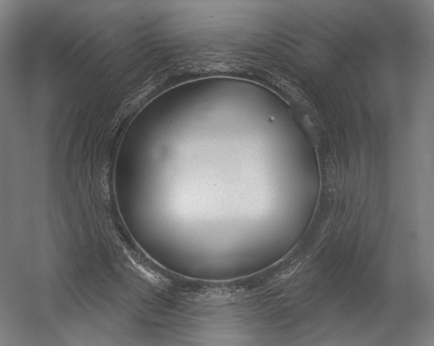 X0000055210489200508301325.png