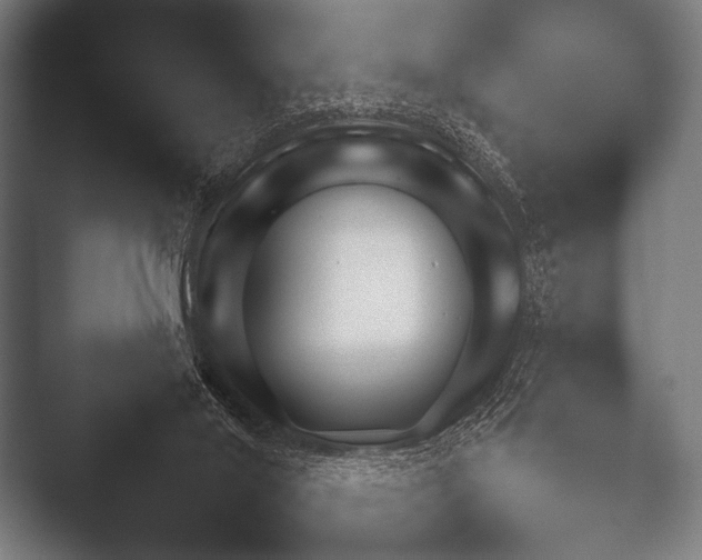X0000052020020200507181638.png