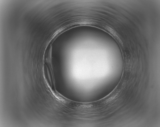 X0000055060845200508161643.png