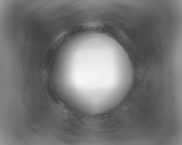 X0000054330821200508111916.png