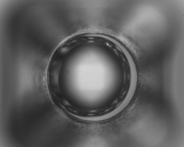 X0000047471238200503091551.png