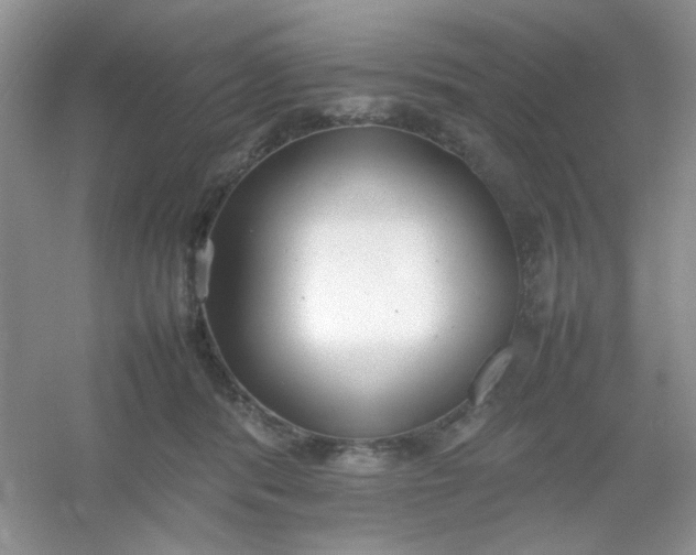 X0000054330416200508111924.png