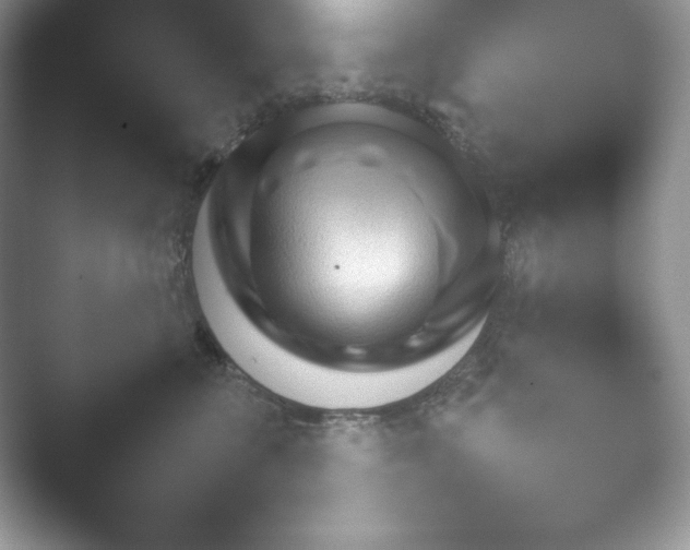 X0000052450571200507211317.png