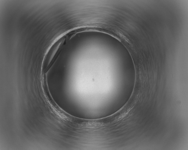 X0000055211077200508301315.png