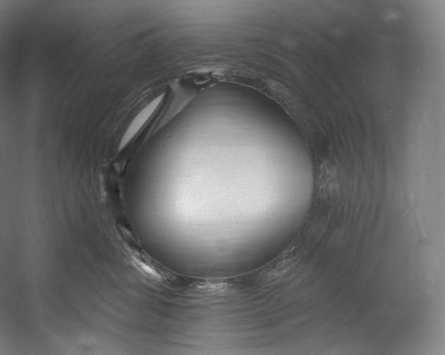 X0000055210428200508301327.png