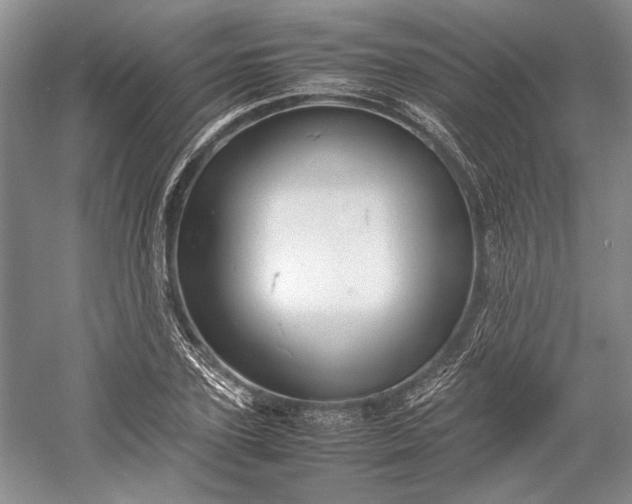 X0000055060931200508161642.png