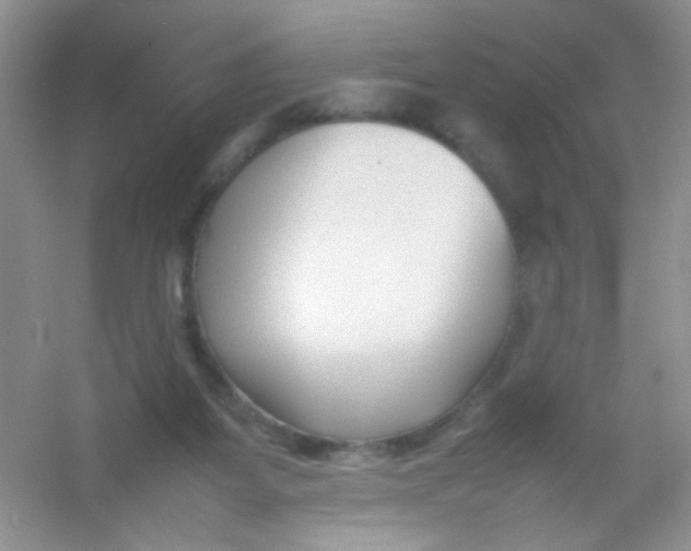 X0000054330115200508111929.png