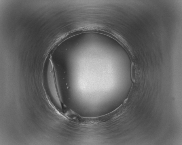 X0000055210485200508301326.png