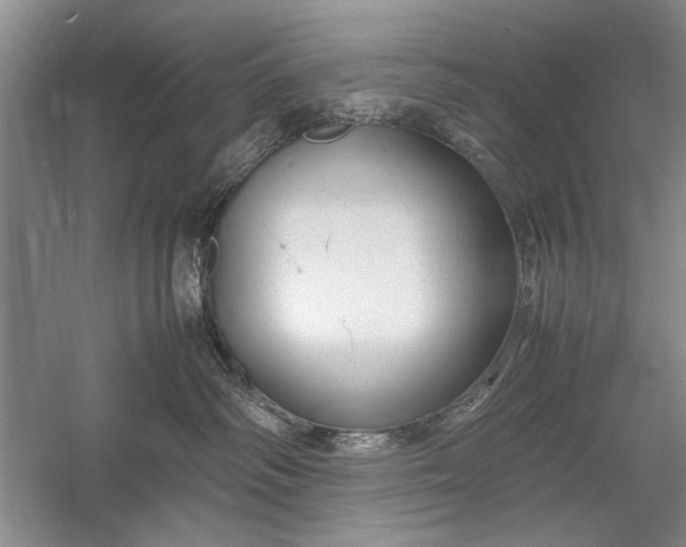 X0000055060334200508161652.png