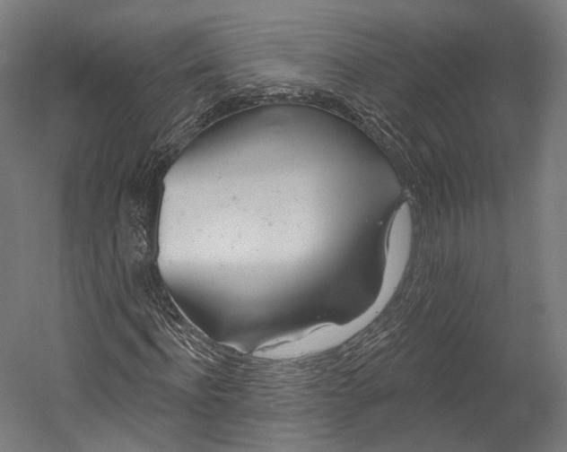 X0000055210916200508301318.png