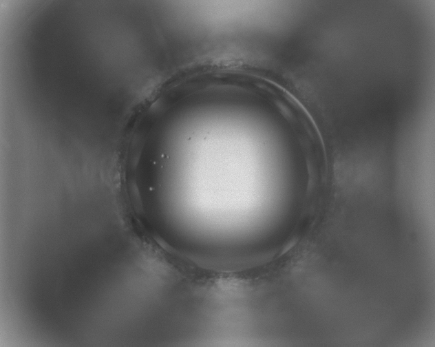 X0000054110403200508022104.png