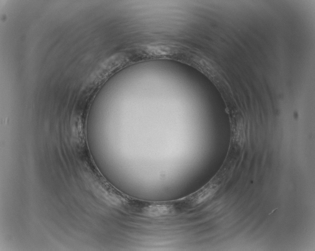 X0000054650418200508091647.png