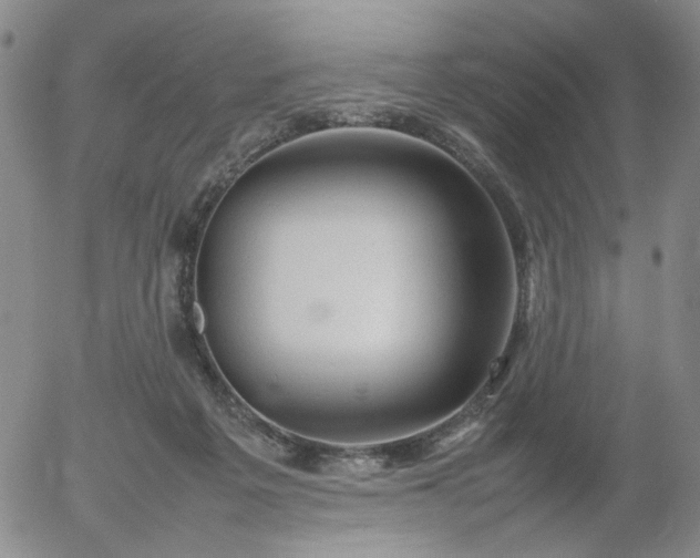 X0000054650217200508091650.png