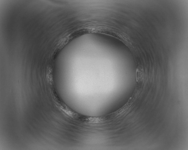 X0000055250766200509071615.png