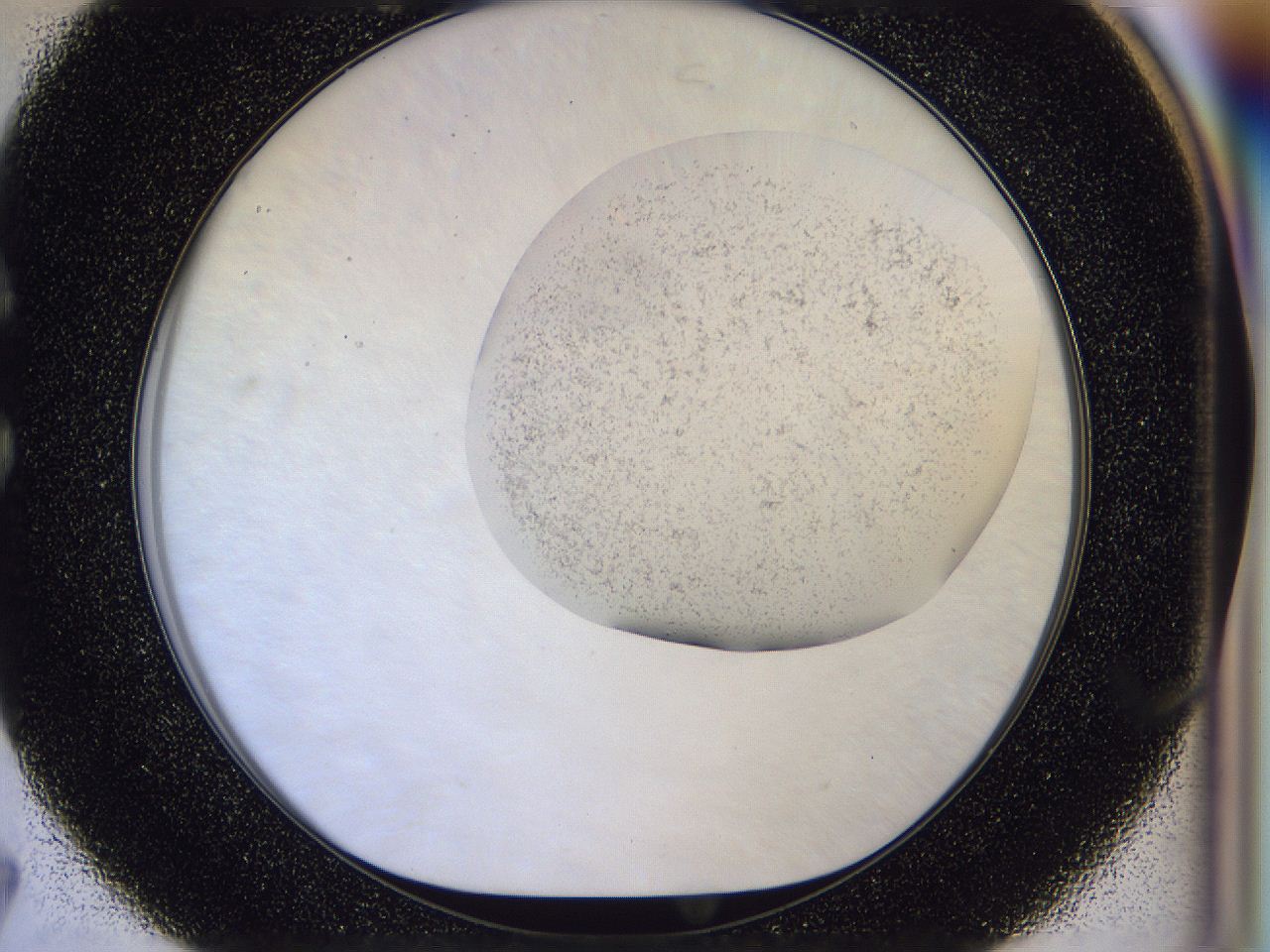 056j_C7_ImagerDefaults_2.jpg