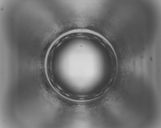 X0000052120639200507262052.png