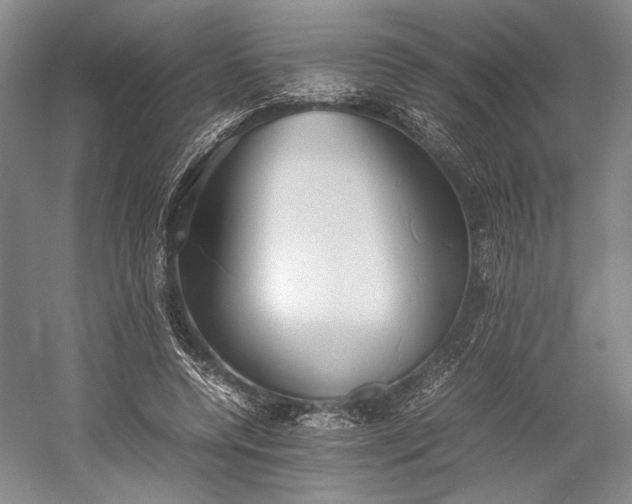 X0000055060544200508161648.png