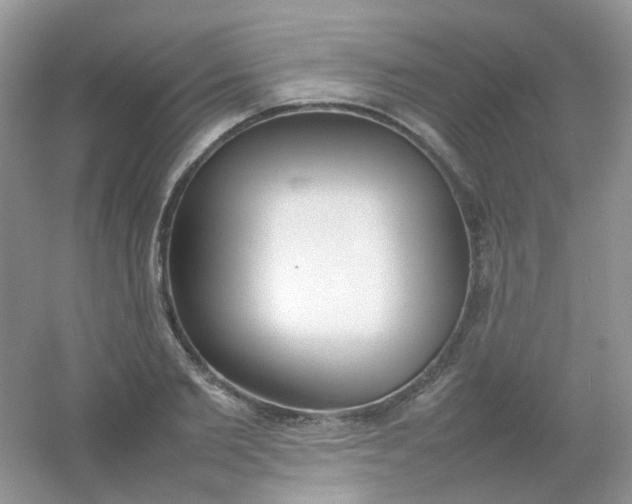X0000054330885200508111916.png