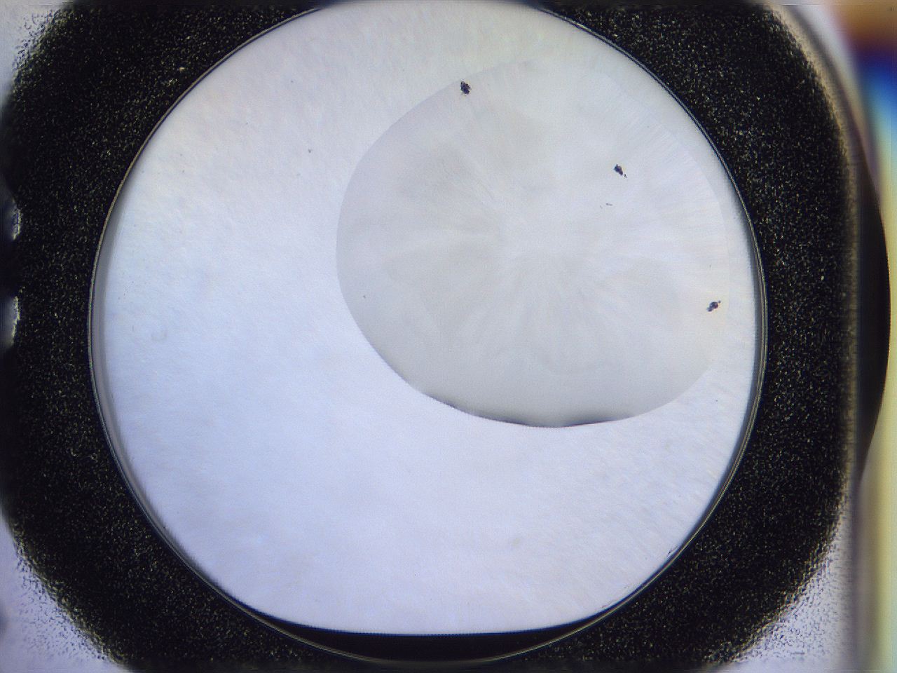 056j_C5_ImagerDefaults_1.jpg