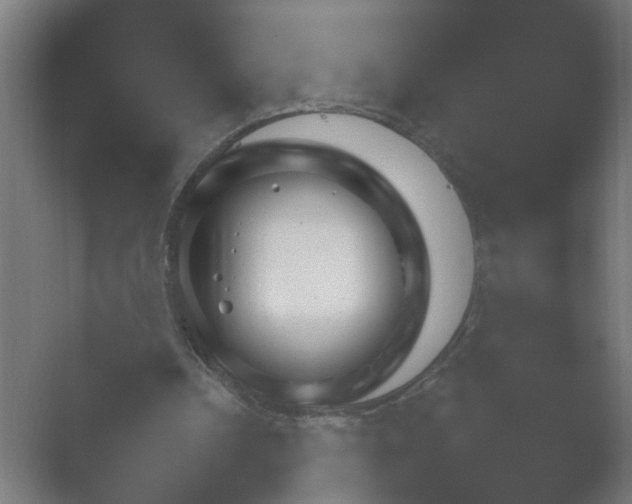 X0000054930242200508291639.png