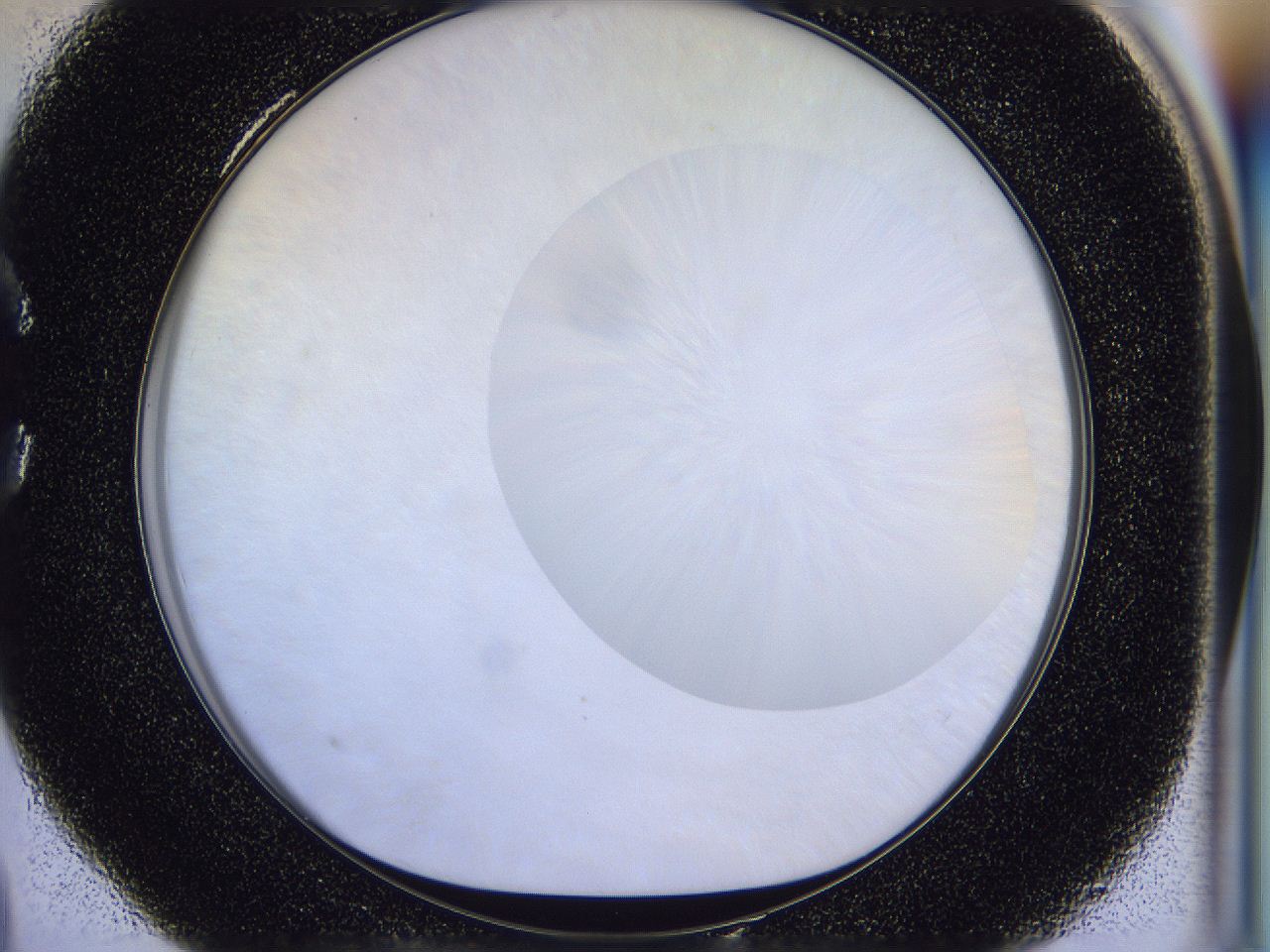056j_C4_ImagerDefaults_0.jpg