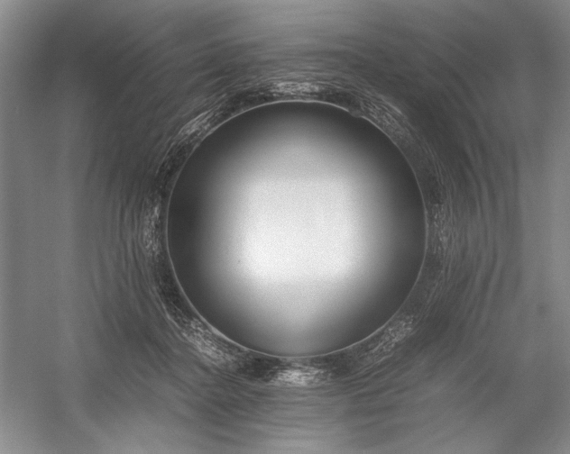 X0000055060364200508161652.png