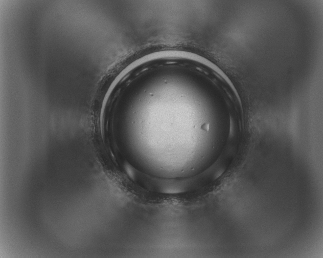 X0000040560256200411021436.png