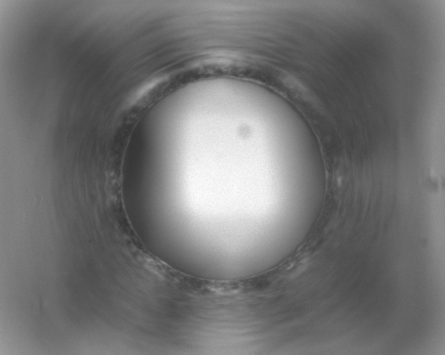 X0000054330822200508111916.png