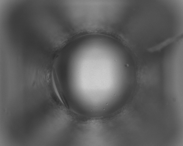 X0000054930117200508291642.png