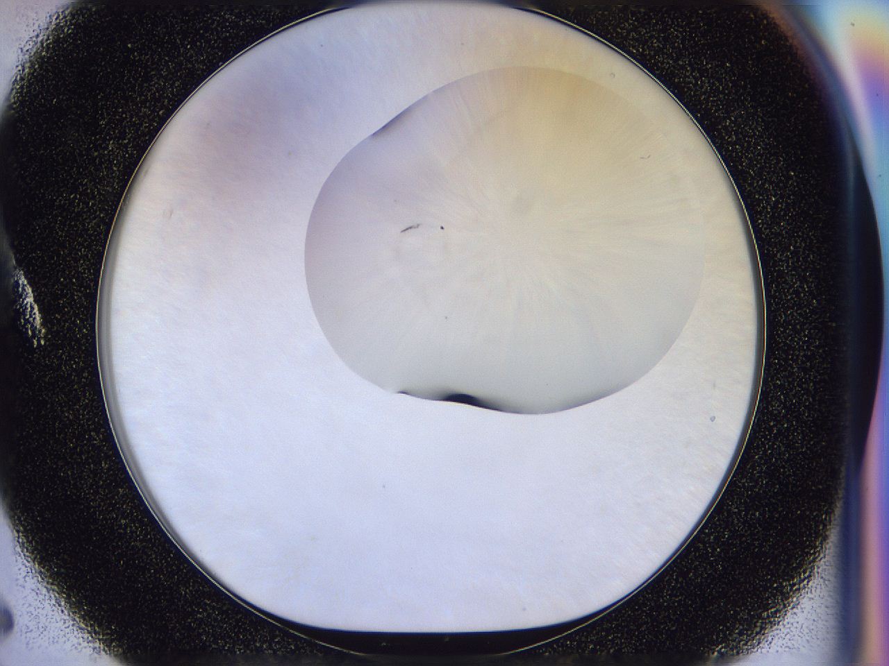 056j_A5_ImagerDefaults_0.jpg