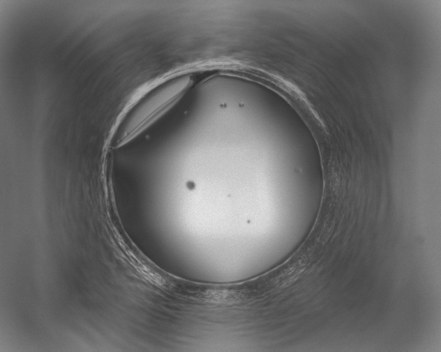 X0000055211176200508301314.png