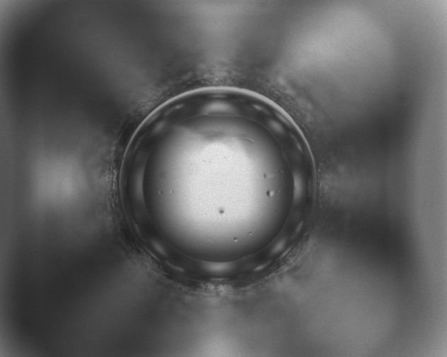X0000045450429200502011701.png