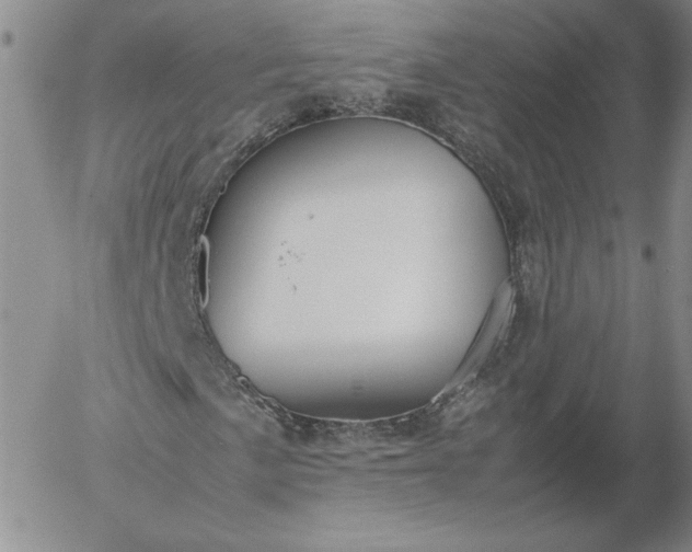 X0000054651057200508091636.png
