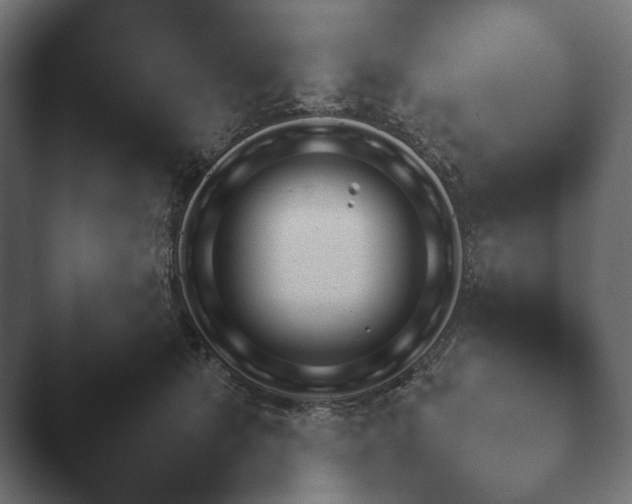 X0000047470513200503091602.png