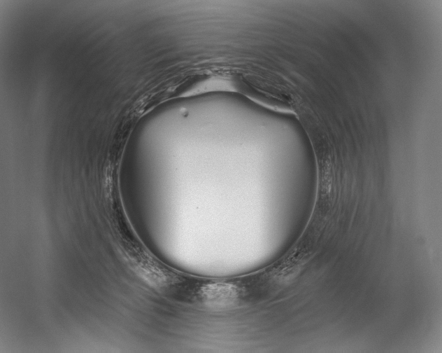 X0000055210271200508301329.png