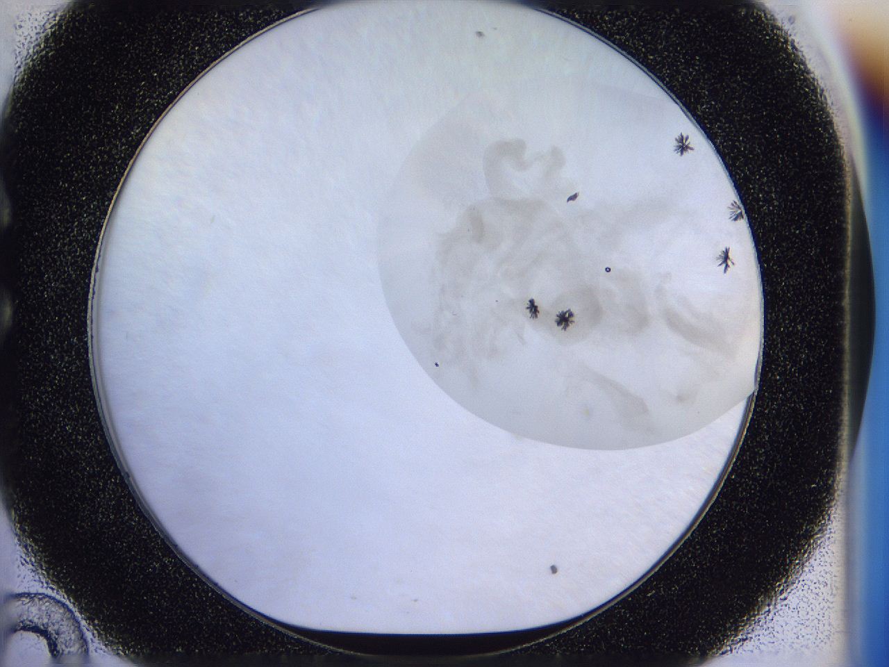 056j_C10_ImagerDefaults_7.jpg
