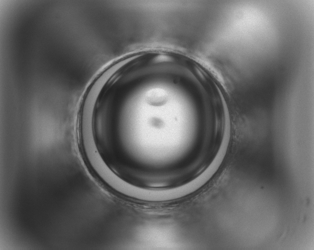 X0000041781391200411271509.png
