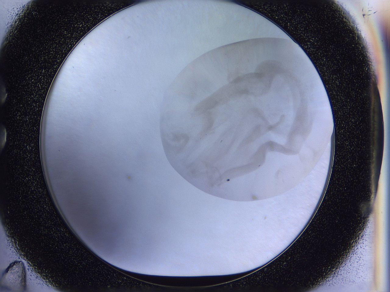 056j_C11_ImagerDefaults_2.jpg