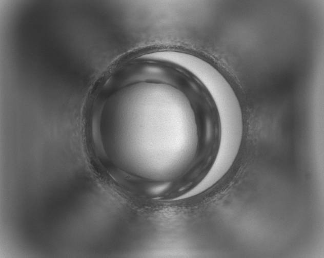 X0000052450584200507211316.png