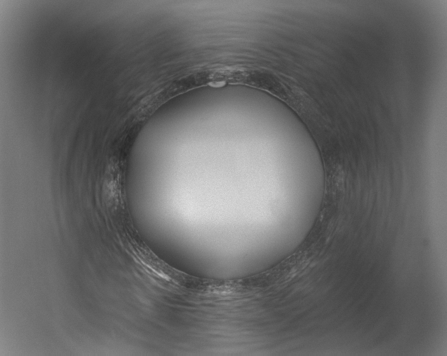 X0000055210914200508301317.png