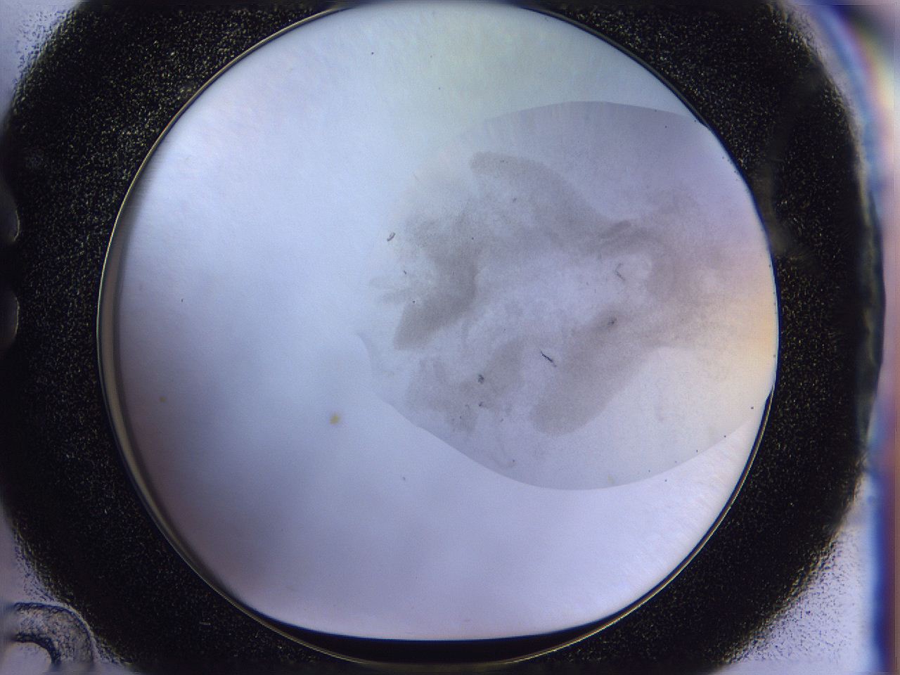 056j_C12_ImagerDefaults_3.jpg