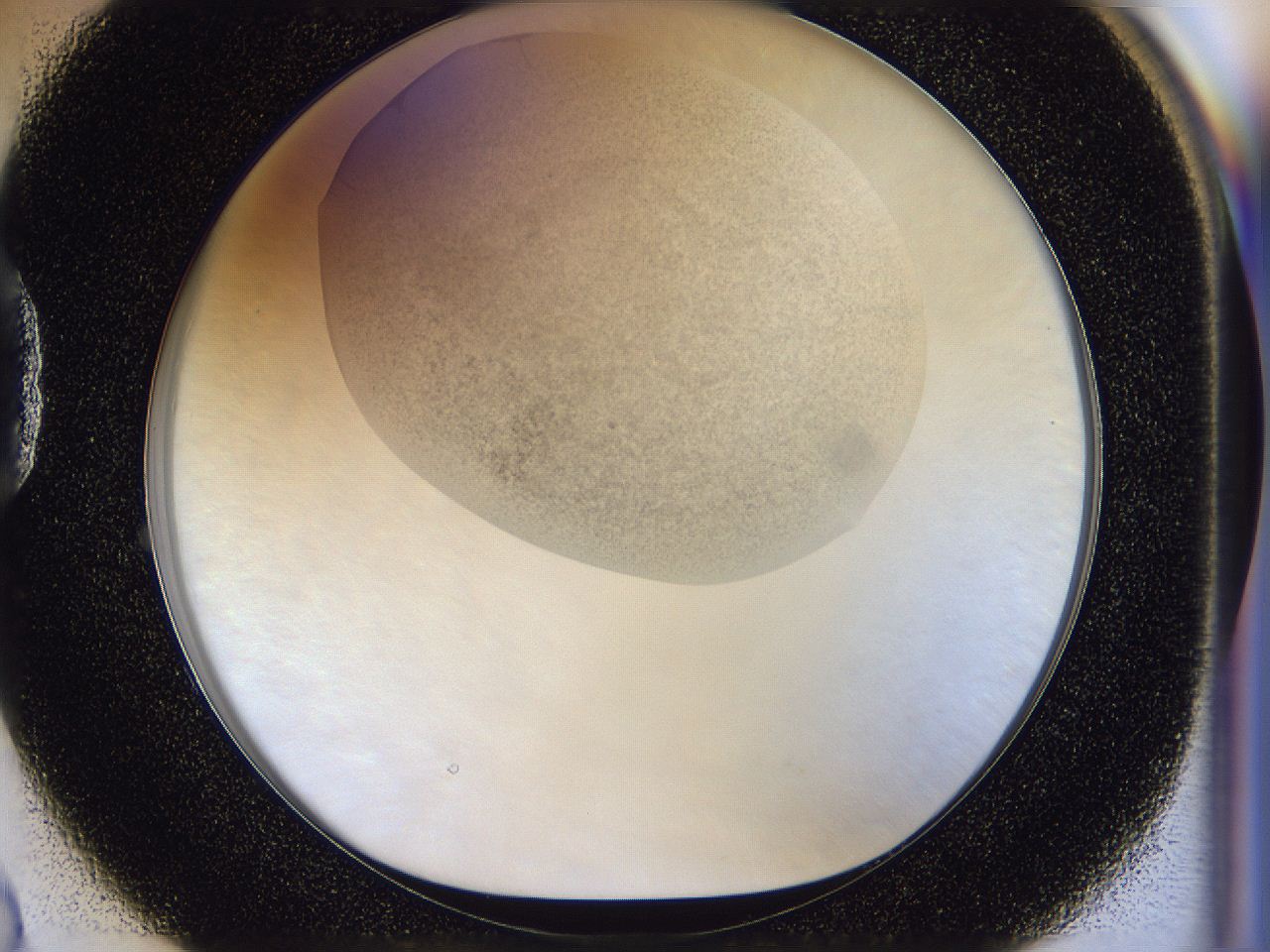 056j_D2_ImagerDefaults_2.jpg