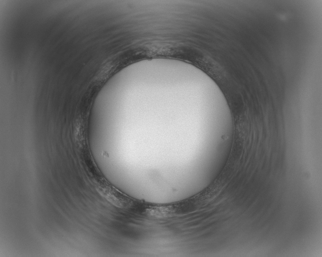 X0000055210079200508301333.png